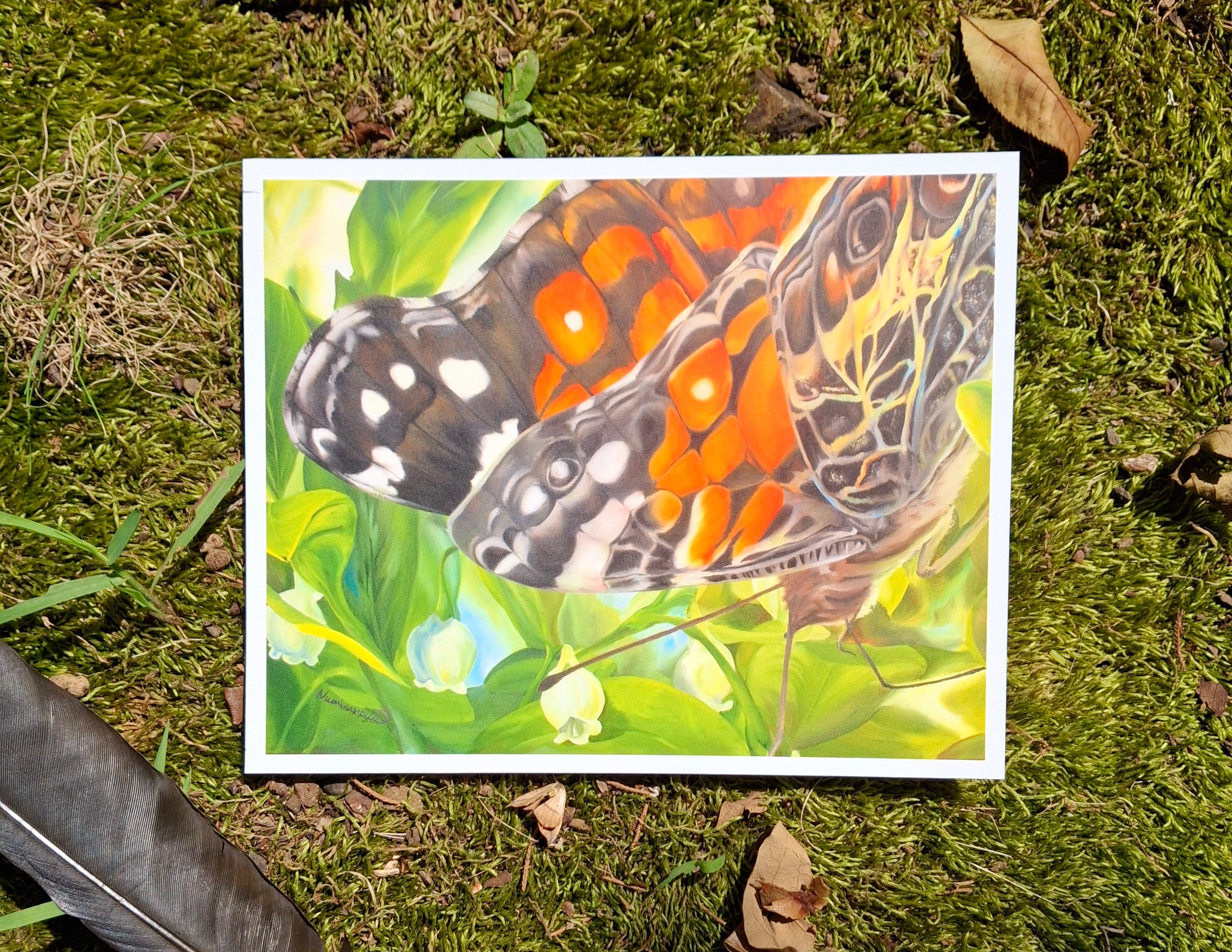 American Lady Butterfly Print