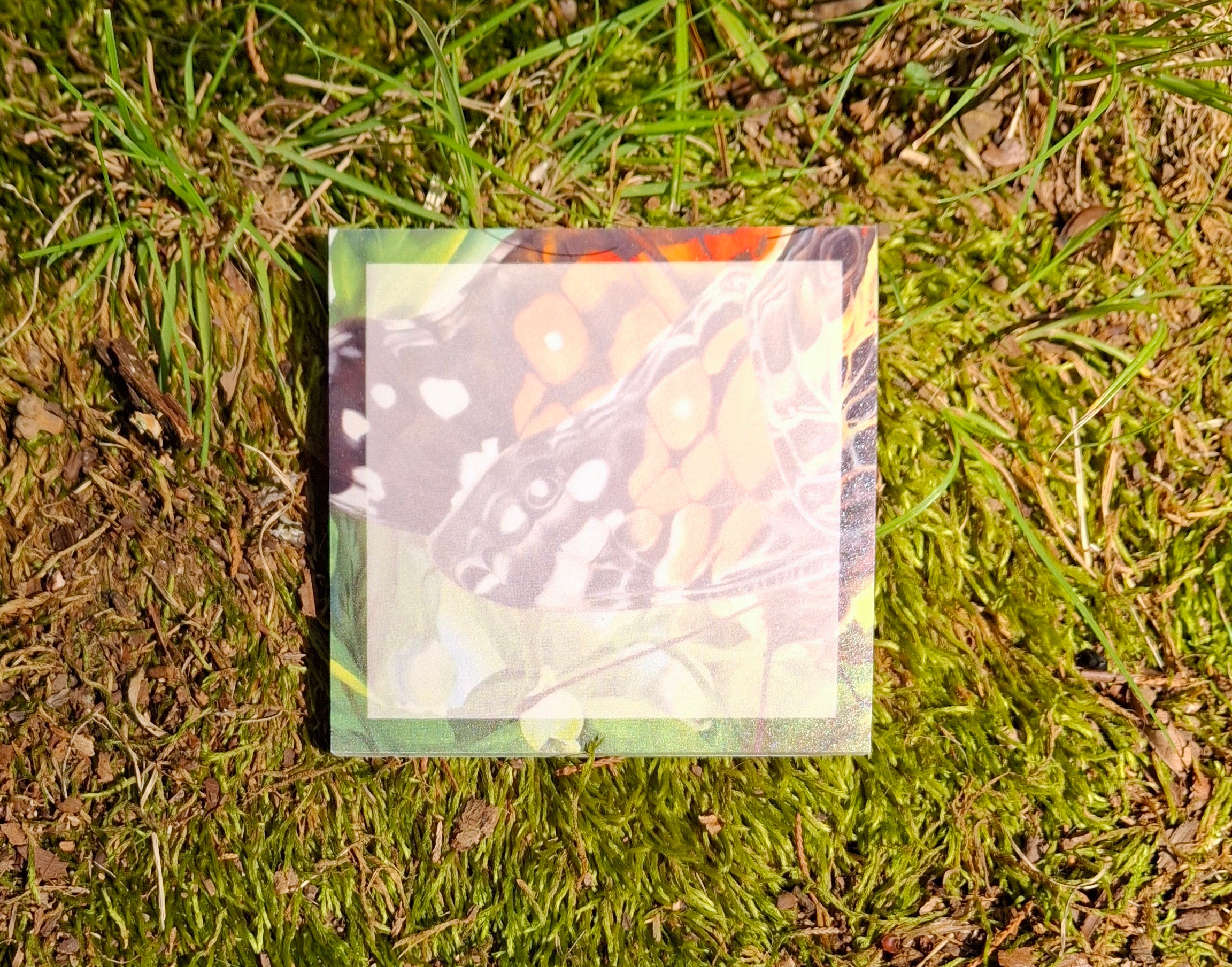 American Lady Butterfly Sticky Note