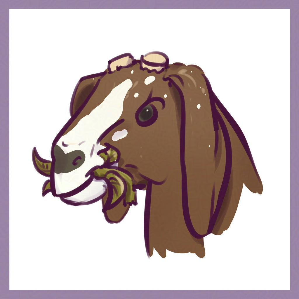 Animal Profile Drawing