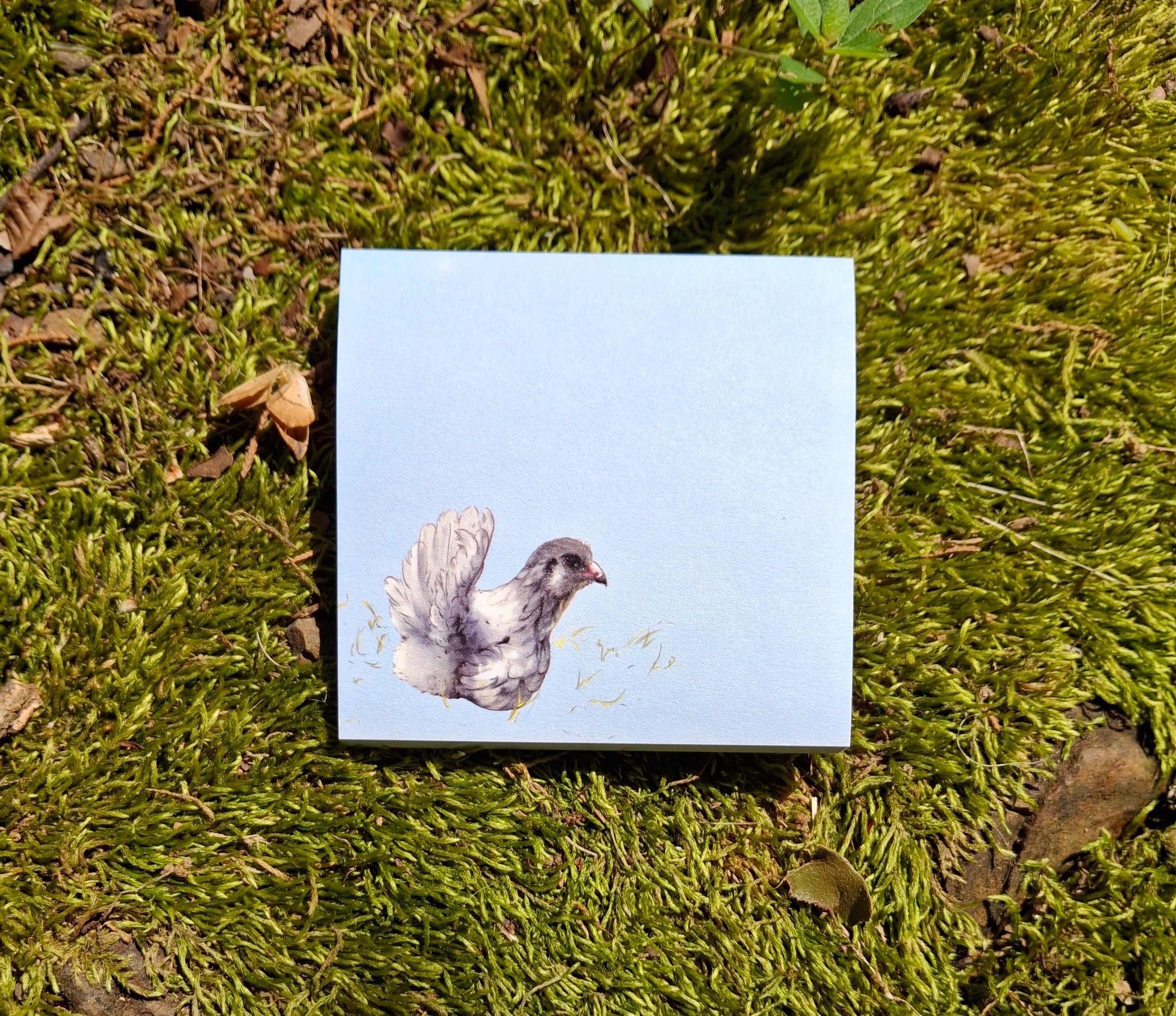 Stella the Chicken Sticky Note