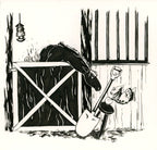 Ink Horse Illustration